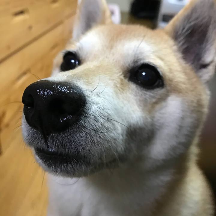 Da60ed4c ef12 403f b500 eedaebe5f953 1516665423208