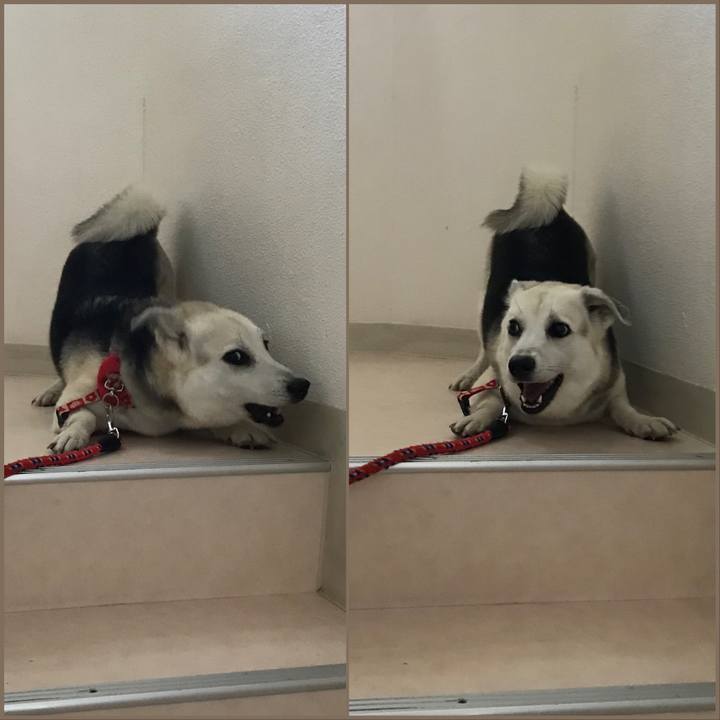 Da613b91 f6a2 45fc a411 e8d36eef6684 1583069129926