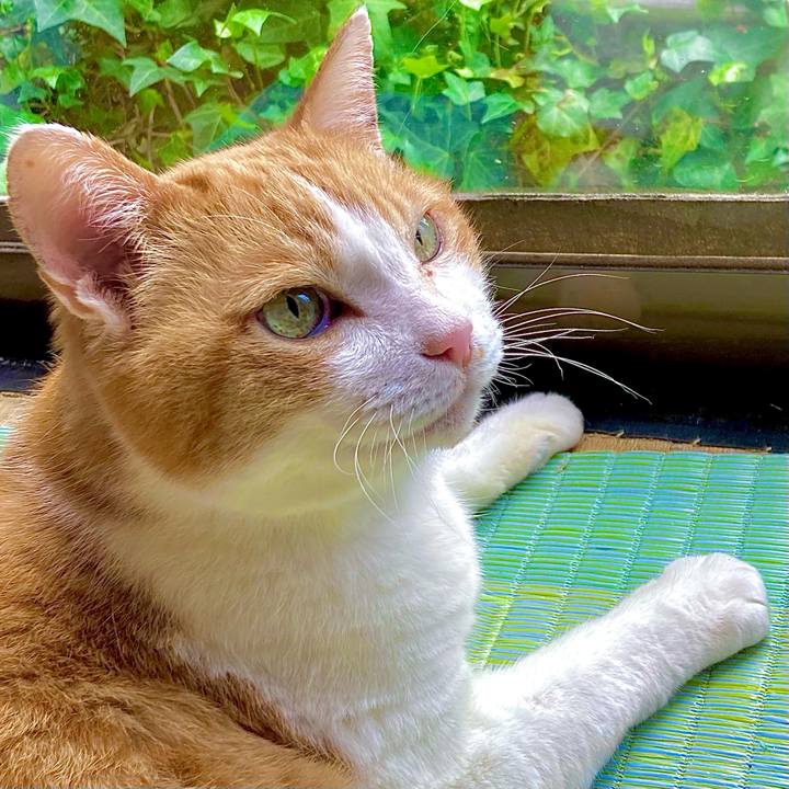 Da6148ed 532f 4760 b79b 6e07e77c20b6 1690260373409