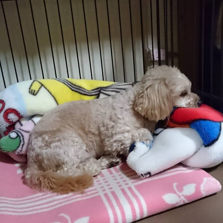 Da616416 c09e 4444 8409 2d5cba2c310d 1544797126432