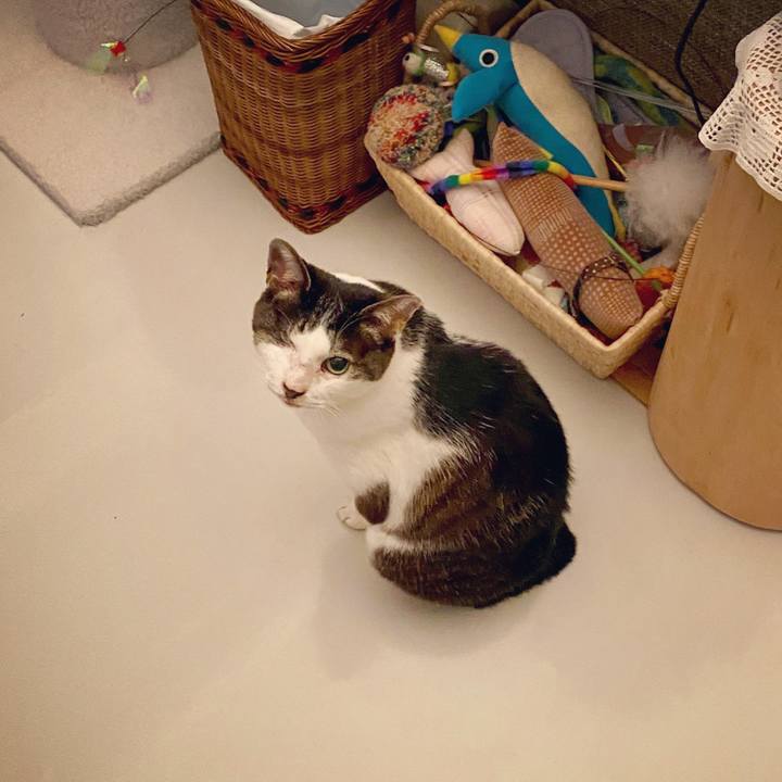 Da616e96 be84 458b ab15 80b7168913d3 1590328468031