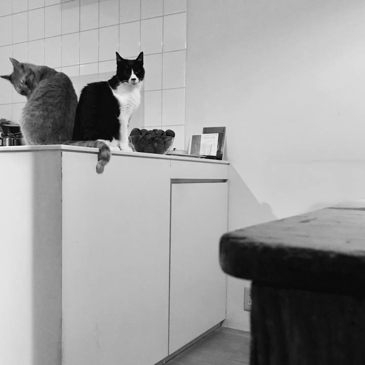 Da619426 f39e 45bd 8e9b 35f36f7b9c44 1509847002036