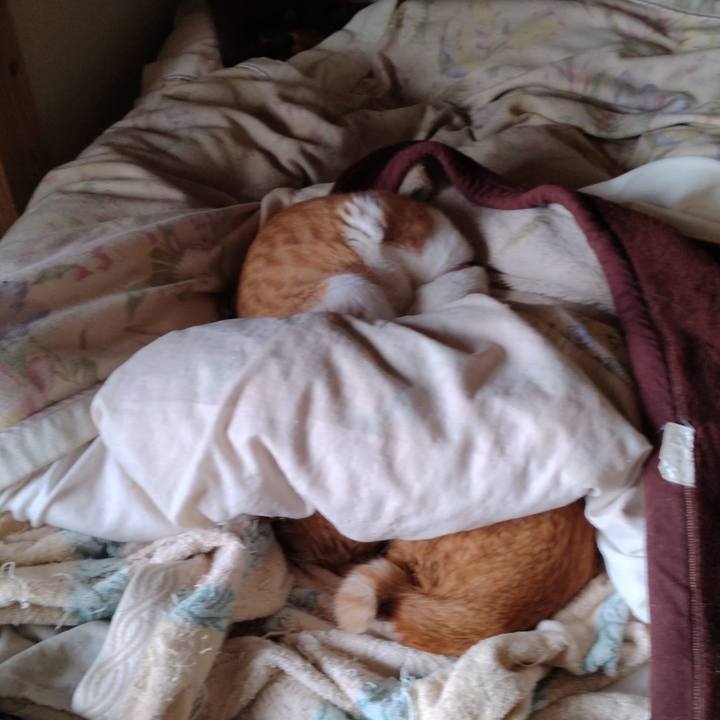 Da61a977 258e 46c6 87de 876df49e5728 1746743609781