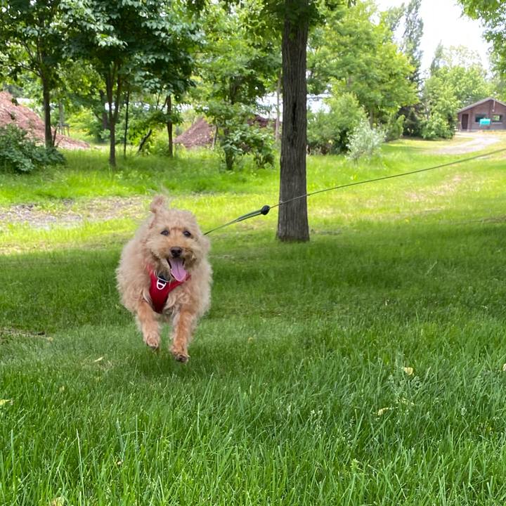 Da61c3d5 5dfc 4f52 a62b 068c4c4bdeae 1686567708134