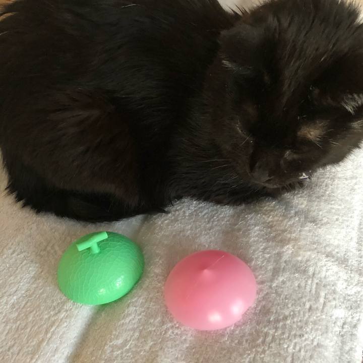 Da61e1ec 2df2 40dd aff2 8f99e5eeb801 1615501534065