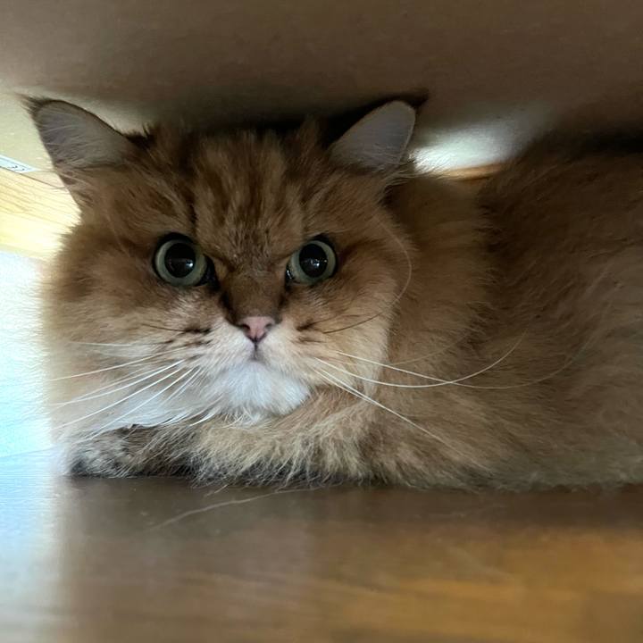 Da61e9d6 30be 4591 a437 cafb72178fdd 1660391313421