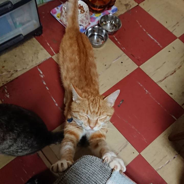 Da6221c1 ebfa 4926 a8d7 89848e5bed85 1561761805642