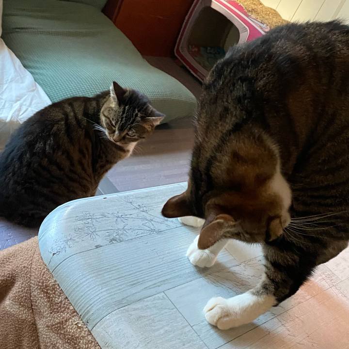 Da623993 3ef9 4847 9280 0a3308a288e4 1674259701083