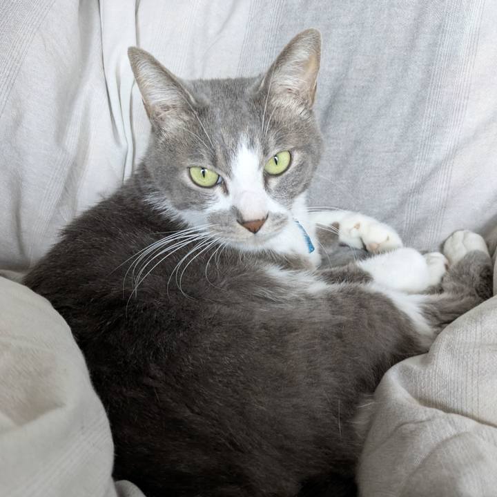 Da623ede 901c 43d4 9af2 899f5af5e6fc 1761440635478