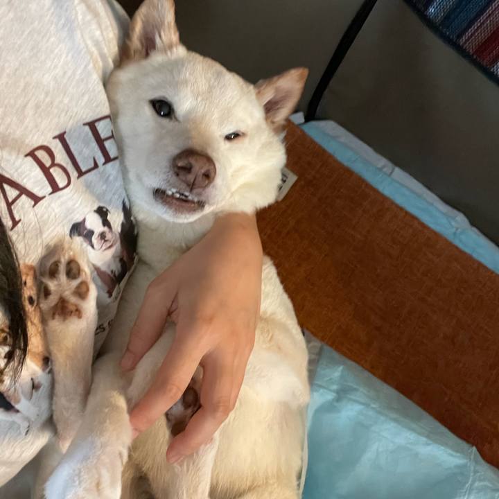 Da6249dc 3845 4063 a523 edc711775250 1664250137690