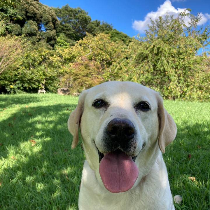 Da6270f3 498f 417e b625 1f8e00a856a8 1725546164051