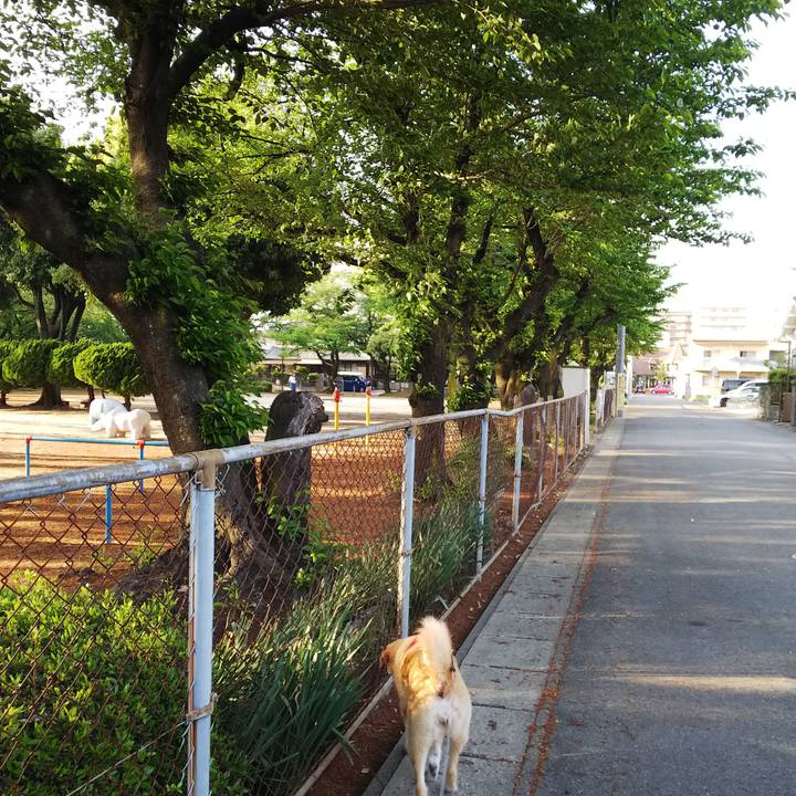 Da62c3ff 1450 4940 8aab d9862d007e77 1524213955246