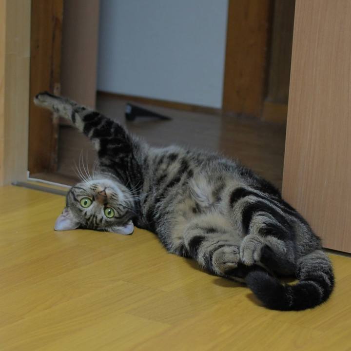 Da62eb79 0e31 4bf5 874c f227bed4f4e7 1536411356630