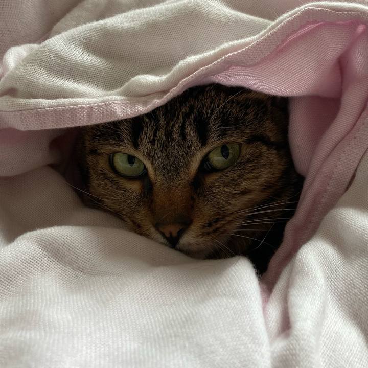 Da633c10 3215 4362 87b8 25f7f92f8fc4 1623668016156