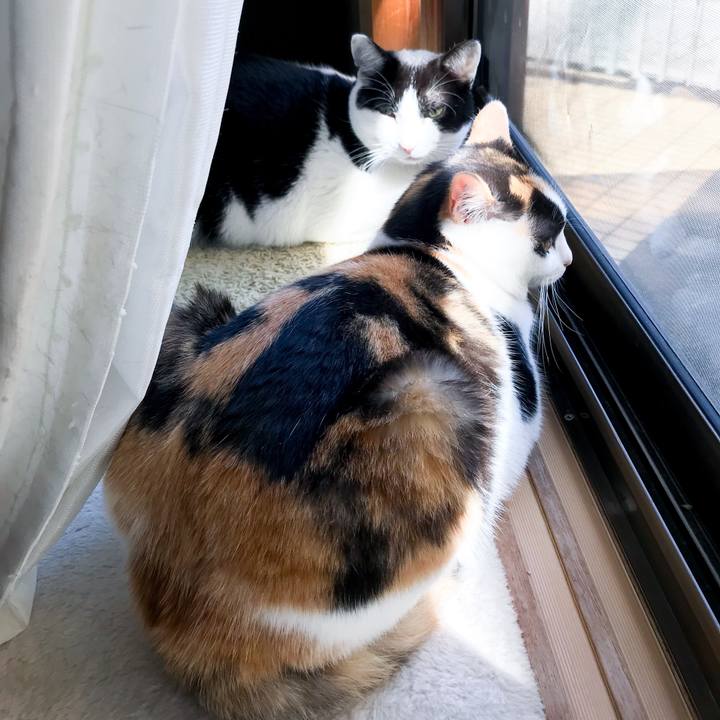 Da634252 5eb2 4226 b7d7 53dc9a60afe5 1522679088925