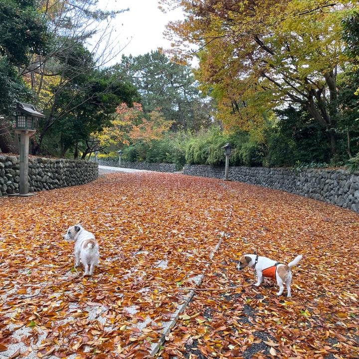 Da6396c3 3b32 463c 9009 e0f8417fbbf7 1668469838246