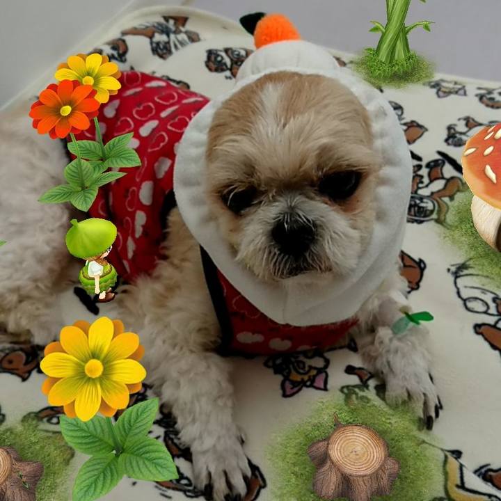 Da63a14b 07d4 403f bd43 5569a7414406 1534937715890