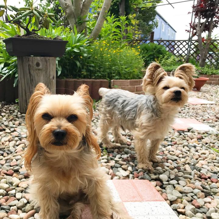 Da63b6d7 0fe3 4d02 a571 f0cf6dcd4cdb 1528621608987