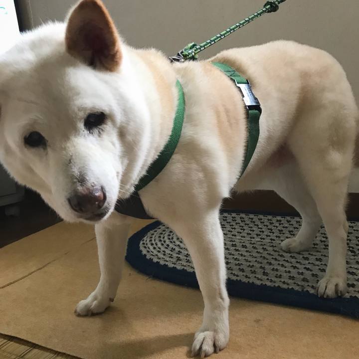 Da63d465 bb6e 494d bd6b 56f7b07b3571 1537703836223