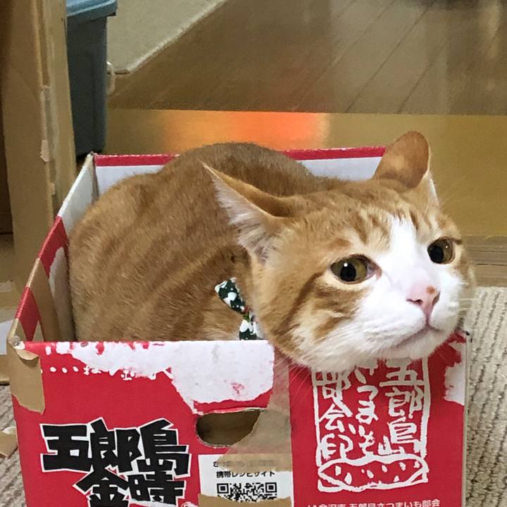 Da644965 0dd2 487b bcbe a1ff71eb90f5 1576968597036