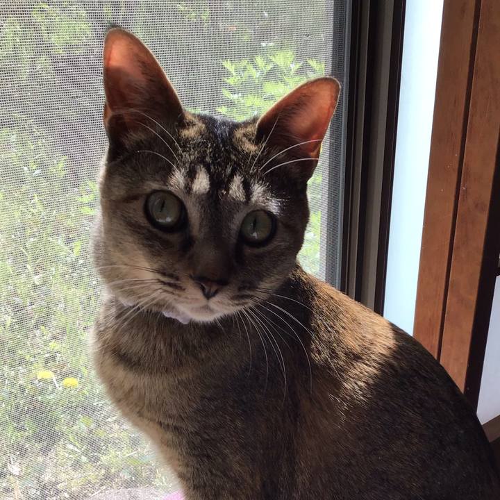 Da644eed 365b 4888 af77 1d318f017370 1587528364319