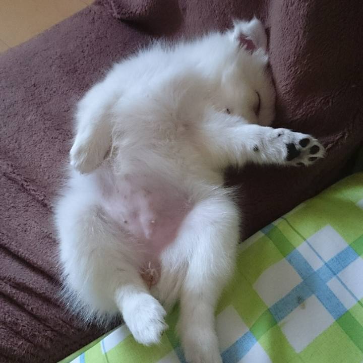 Da647027 342d 423c ad48 f28db3898427 1538550194790