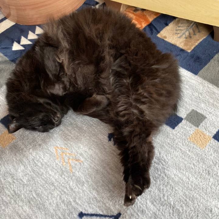 Da649762 2a12 4f29 9fbd 1e8c7f614e58 1589957308608