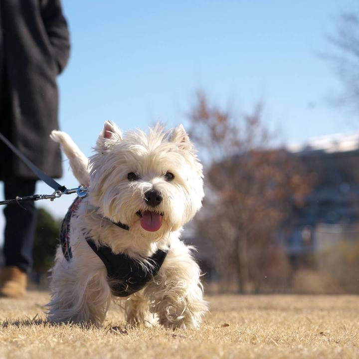 Da64af67 74ad 433c 9a20 cf878fe5c0f9 1514717668899