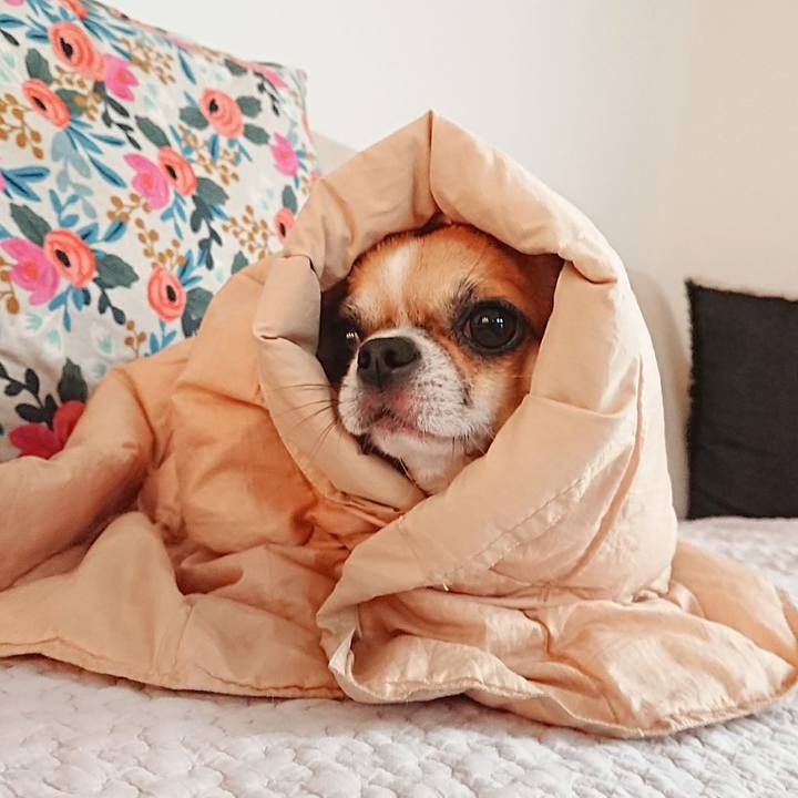 Da64b6c1 526b 4cde 8d9d 508607bae0b5 1601867074750