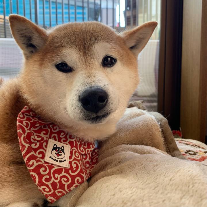 Da64db2b ea4d 44ce 9482 c2cc62115d22 1644309541105