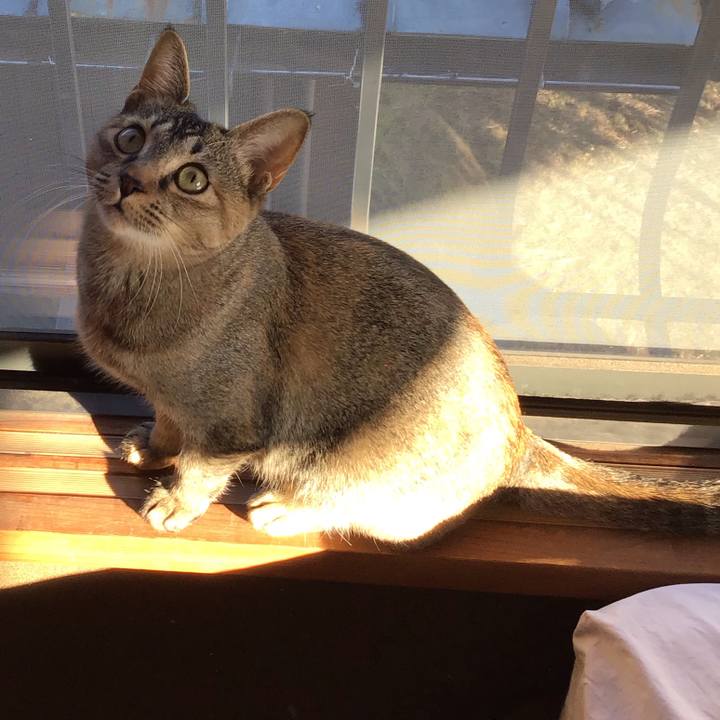 Da64e498 d653 4bb9 b903 071a324d918f 1578038548189