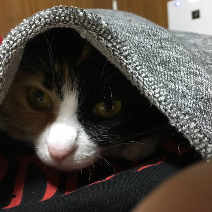 Da64ecc0 7e45 44be 8468 98fbc6cc8bf6 1515246704893