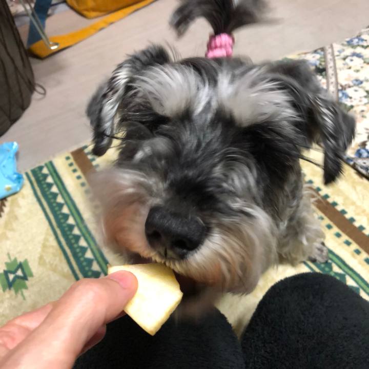 Da64ed26 68bb 4d33 920d cfbf70c7cf03 1650808705302