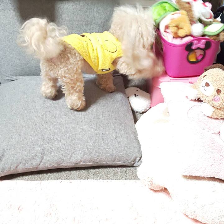 Da64f507 280b 4487 99c8 29f797311020 1576927392825