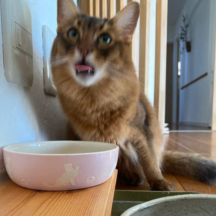 Da6515d0 ff33 4454 813b 682d5f1fde64 1665705709435