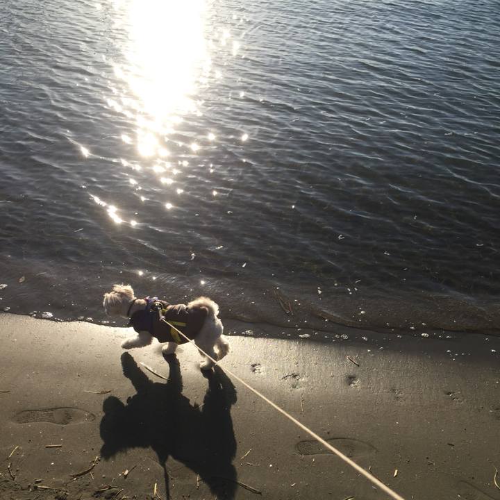 Da6534d1 ff54 4e17 af2c 4291f841fdf8 1514638143985