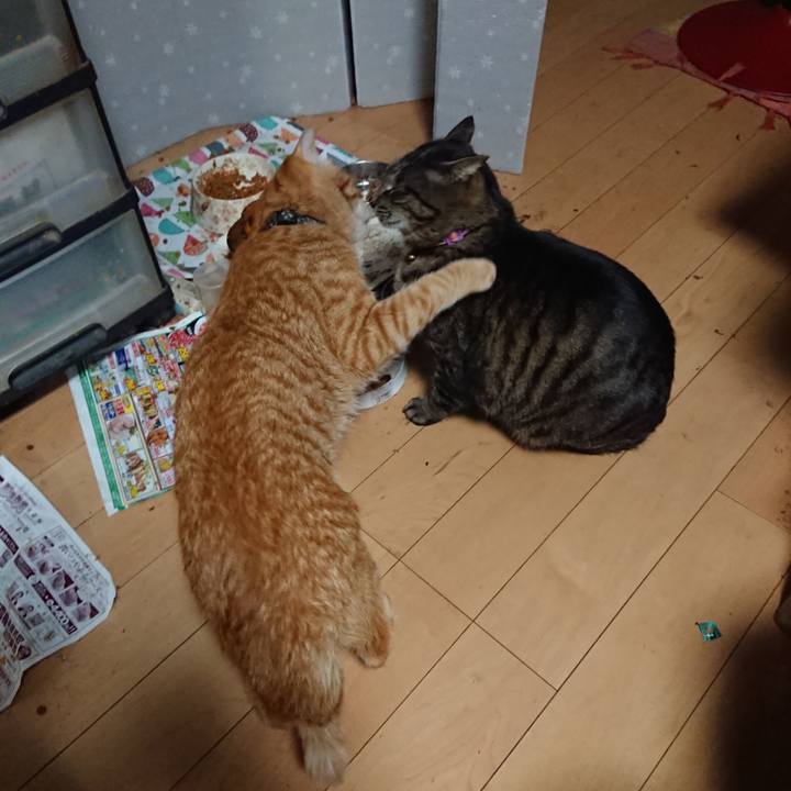 Da65db41 ca94 4409 b3be cca963bb853c 1650269046040