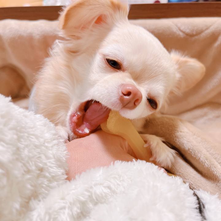 Da65f9c6 bdc3 442b b4d2 b392f6f9b804 1671957311657