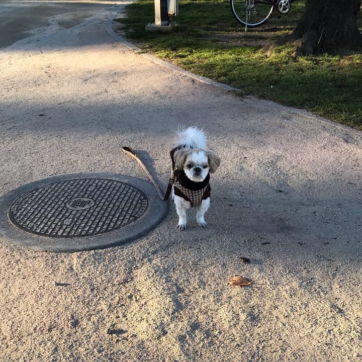 Da668440 545a 43f2 86d8 357061caeaf2 1545257298718