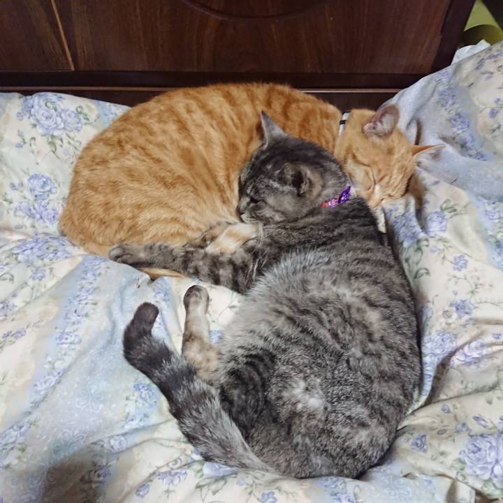 Da66cdd1 20b6 4f10 9c12 3bb8d49e5102 1587907752402