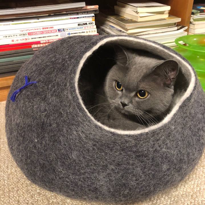 Da66dfde 7833 4a3f 952d 1a4c5e43c554 1568329598043