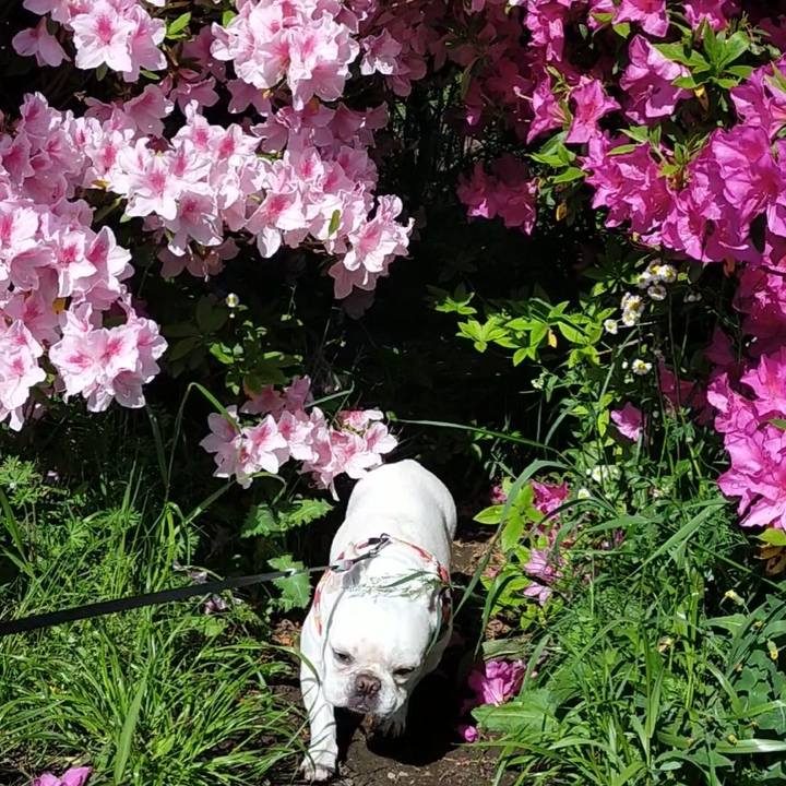 Da6702d0 05cb 4c33 ad40 98d2d935ec5c 1650926584772