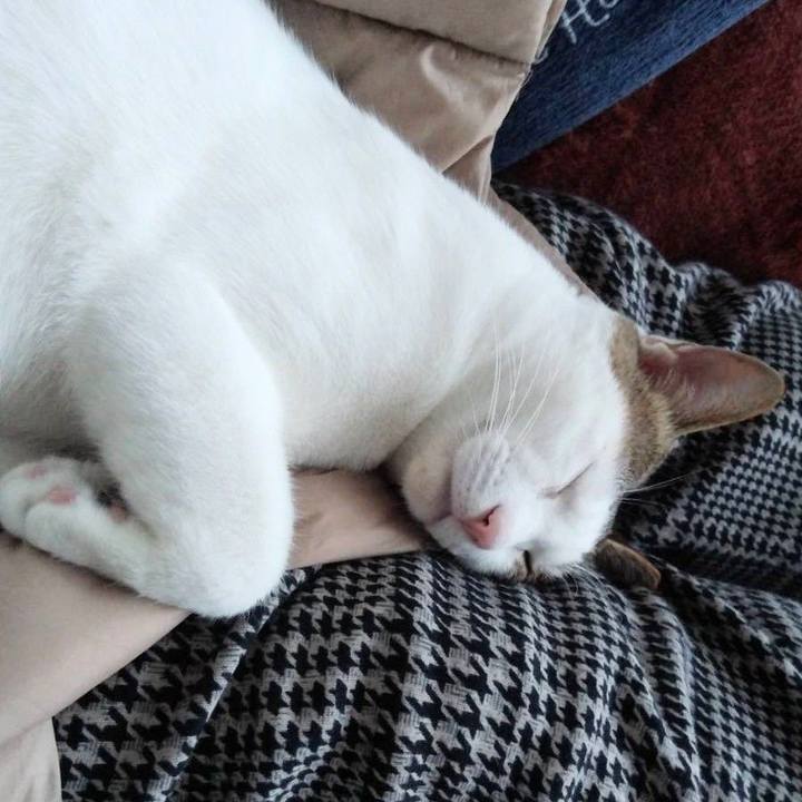 Da670fee 272d 4c9a a28b 409eeed10b9a 1710318783514