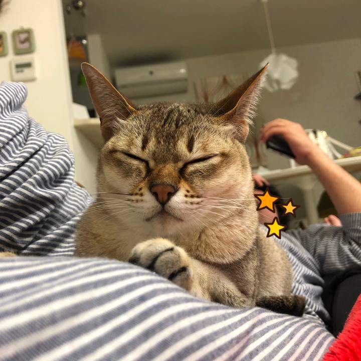 Da673149 4f94 4340 bc6f d5d88e7eca81 1556896838548