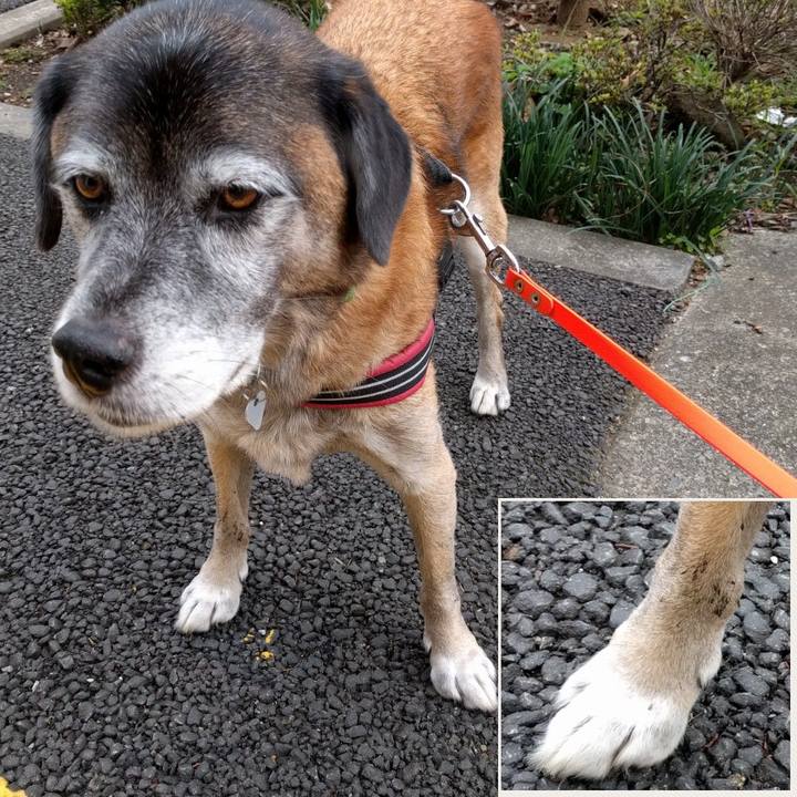 Da676aec 2422 4f9c 94a7 e941bc11db71 1540339314834