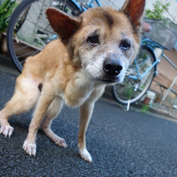 Da676b46 8913 4dc0 9cf8 972a631d6b06 1568670211285