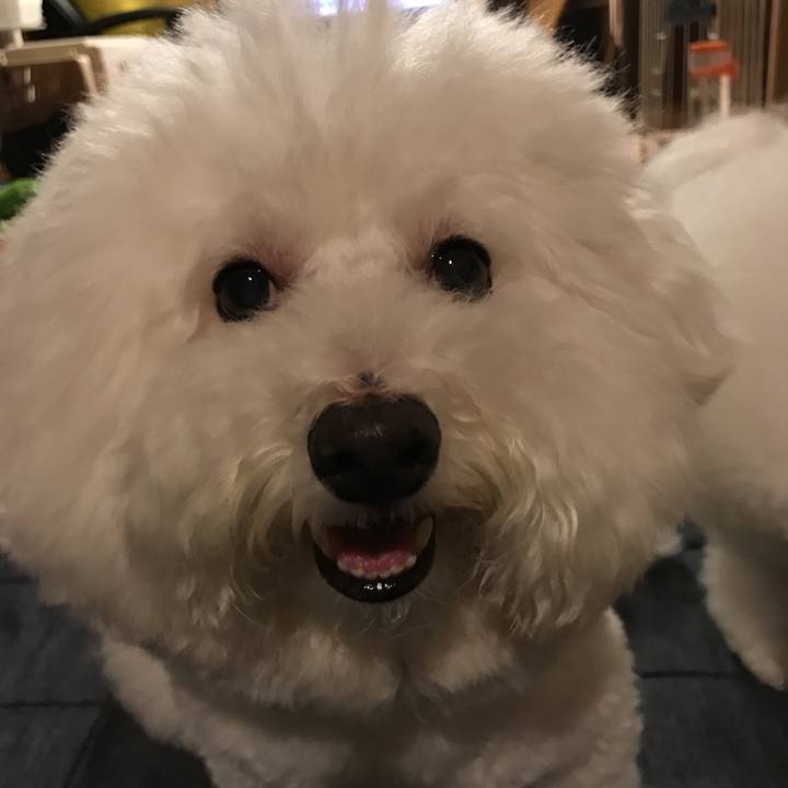 Da676ee7 796b 462b afab 2e9db32e4fbd 1533124384887