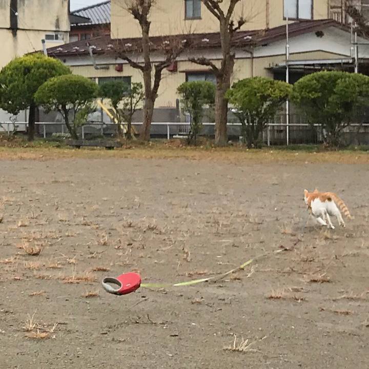 Da678516 8d51 4d52 af55 fa748a7f1375 1511493756038