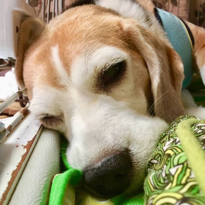 Da67bfa0 2b4b 471b a814 d5e9d04d6fae 1564976643339