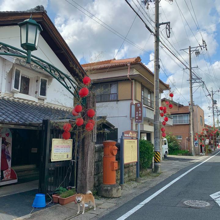 Da67de17 6a15 48f9 b946 5bd6b8368711 1689410221223